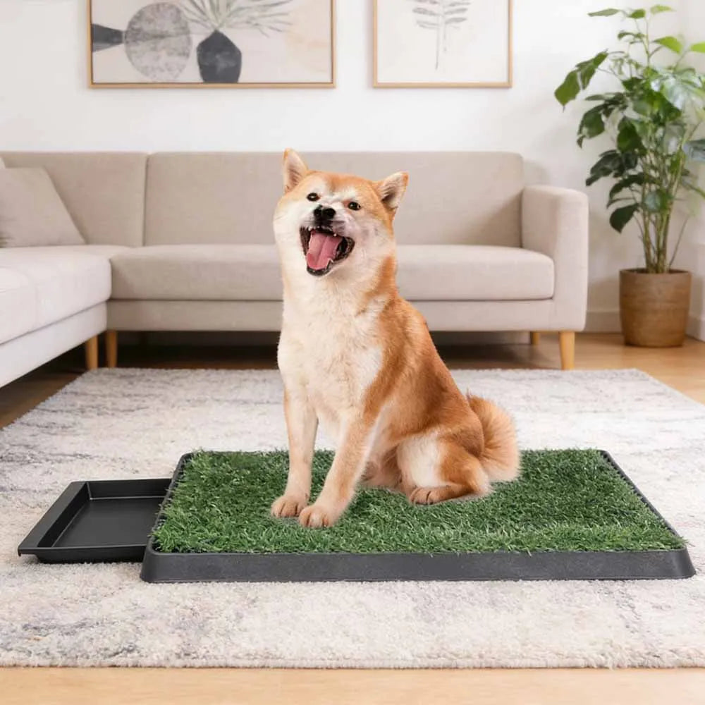 Toilette pour Chien en Gazon Artificiel